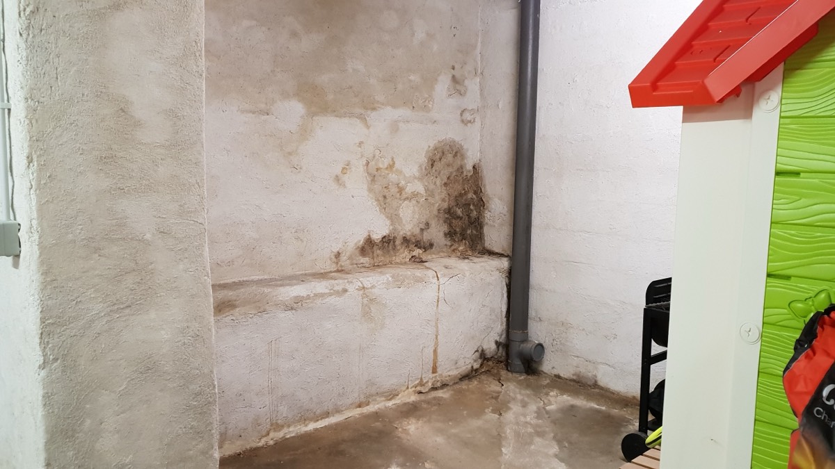 Infiltrations d'eau - Expertise humidité à Toulon